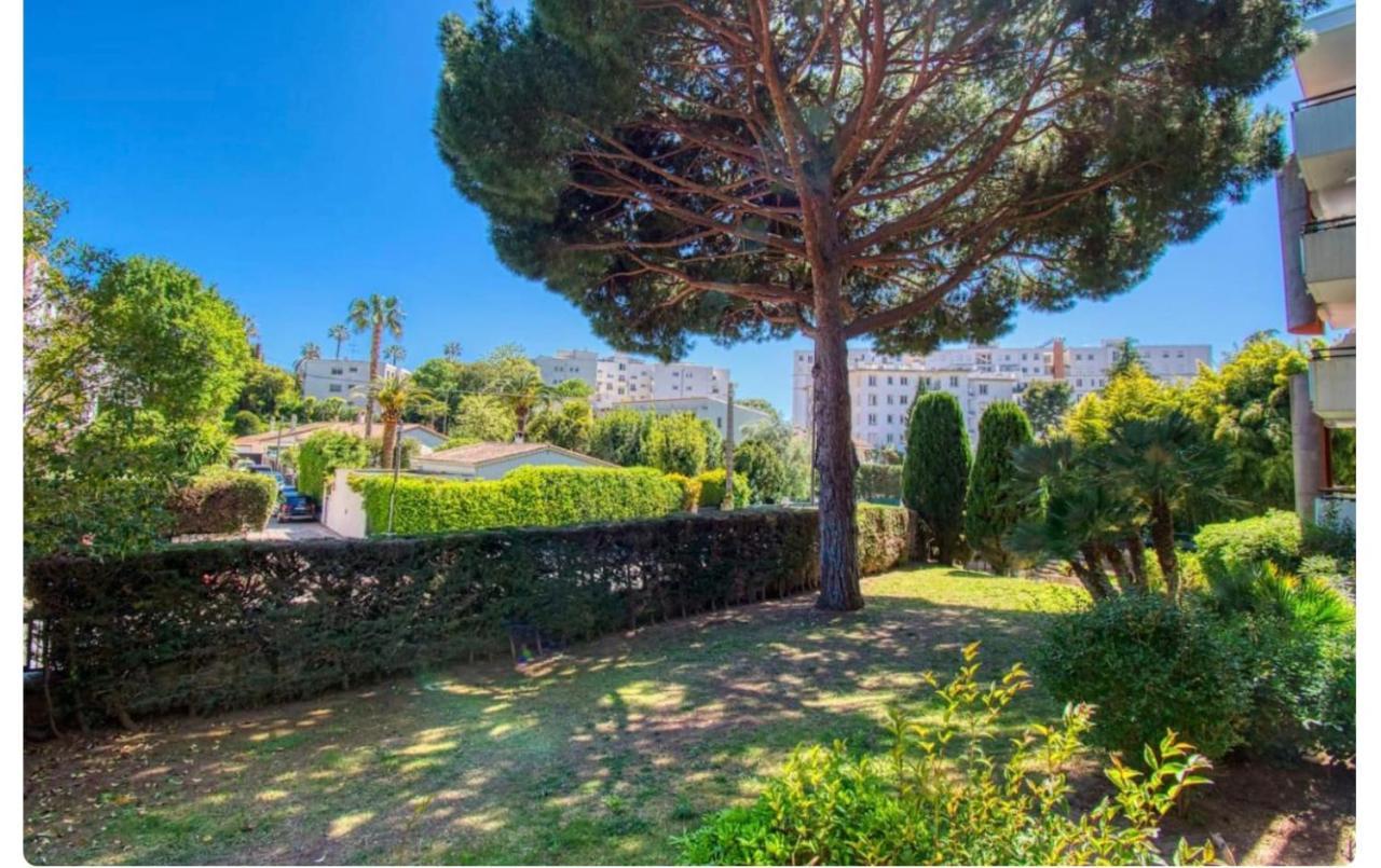 Superbe Studio Lumineux Sur Cannes Avec Terrasse ! A Quelques Minutes De La Celebre Rue D'Antibes ! Bagian luar foto