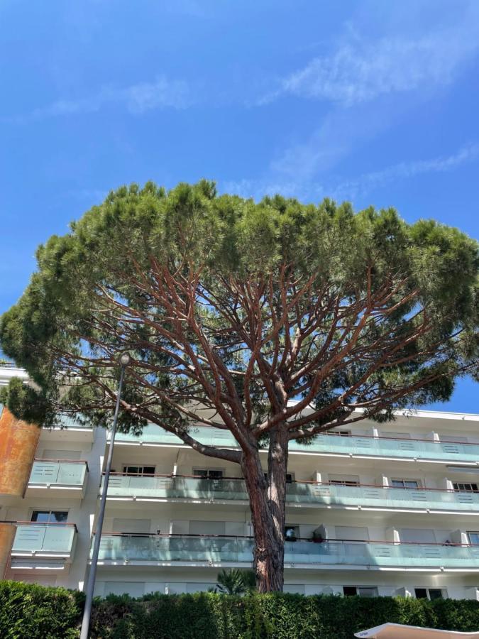Superbe Studio Lumineux Sur Cannes Avec Terrasse ! A Quelques Minutes De La Celebre Rue D'Antibes ! Bagian luar foto
